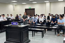 Tòa trả hồ sơ vụ Vimedimex, yêu cầu làm rõ trách nhiệm một số cán bộ