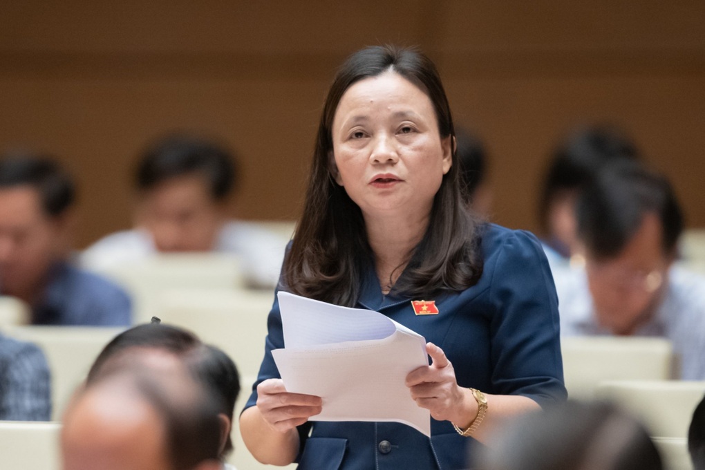 Bán hàng lưu động tràn về lừa đảo người dân, đại biểu đề xuất hướng xử lý - 4 Bán hàng lưu động tràn về lừa đảo người dân, đại biểu đề xuất hướng xử lý - 4