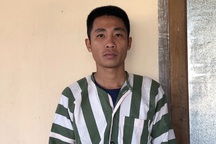 Khởi tố, bắt giam nhóm thanh niên cưa hạ hơn 20m3 gỗ