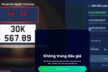 Đề xuất đấu giá cả biển số xe tải, xe máy, xe khách