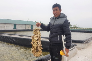 Chàng trai 8X nuôi con nhỏ li ti, thu tiền tỷ mỗi năm