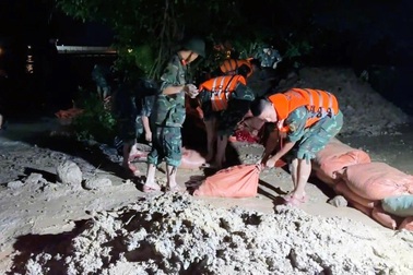 300 người cứu đê sông Hoạt trong đêm