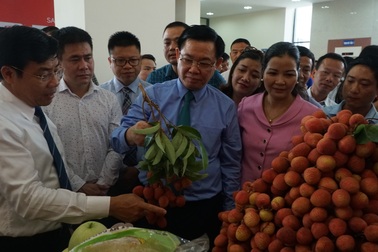 Hơn 100 doanh nghiệp Trung Quốc tham gia diễn đàn kinh tế về vải thiều