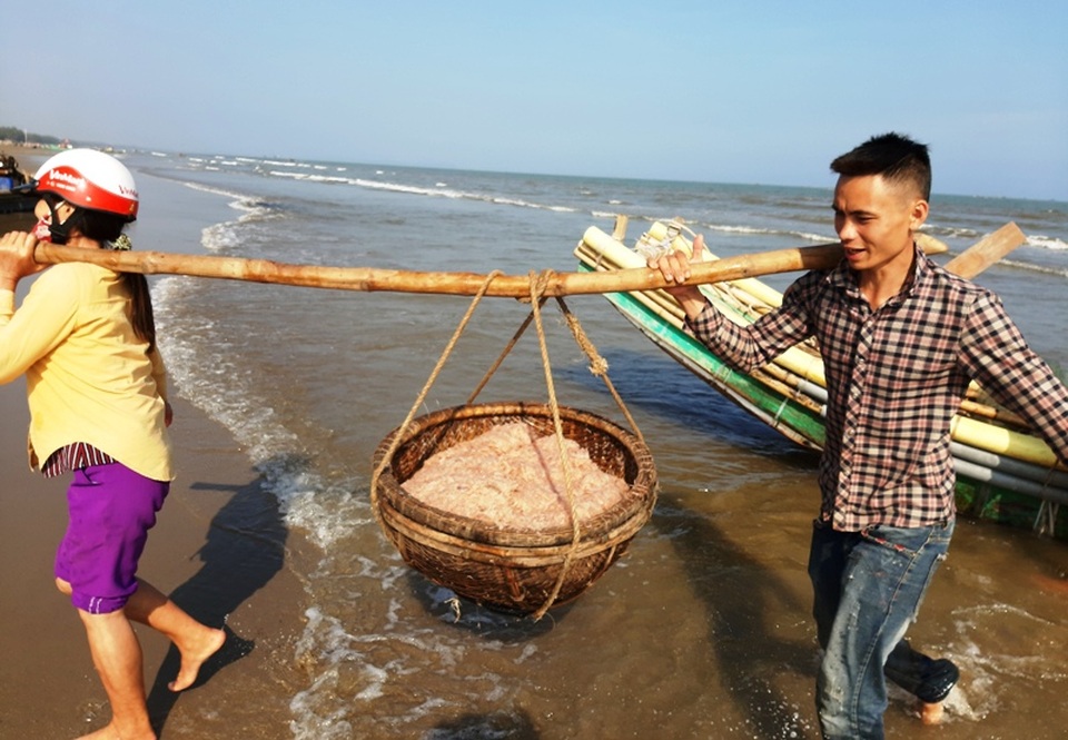 Ngư dân xứ Thanh trúng đậm lộc biển những ngày cuối năm - 11 Ngư dân xứ Thanh trúng đậm lộc biển những ngày cuối năm - 11