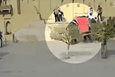 Nữ du khách bị voi tóm lấy, thả xuống đất khi đang chuẩn bị trèo lên lưng