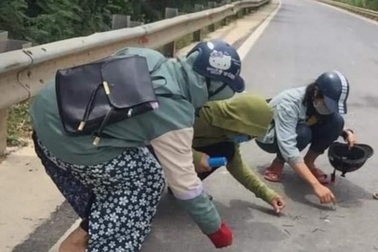 Nhóm học sinh nhặt đinh rơi vãi trên đường giữa trời nắng như đổ lửa