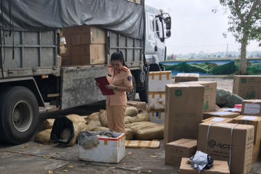 Vận chuyển hơn 1,2 tấn da đà điểu không giấy tờ vào TP.Hồ Chí Minh tiêu thụ