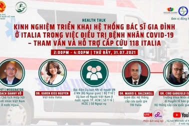 Kiều bào trí thức chia sẻ trực tuyến kinh nghiệm điều trị Covid-19