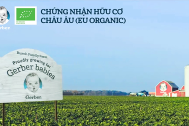 Trẻ khởi đầu khỏe mạnh với dinh dưỡng từ thực phẩm hữu cơ đạt chuẩn quốc tế