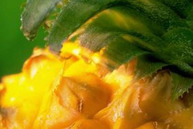 Thực phẩm trị đầy bụng, khó tiêu