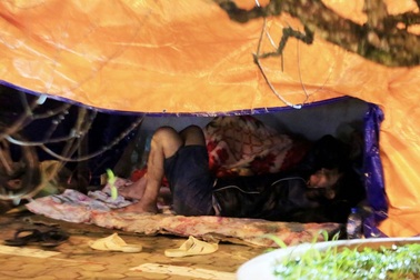 Cuối năm người lao động dựng lán canh đào, bưởi xuyên đêm