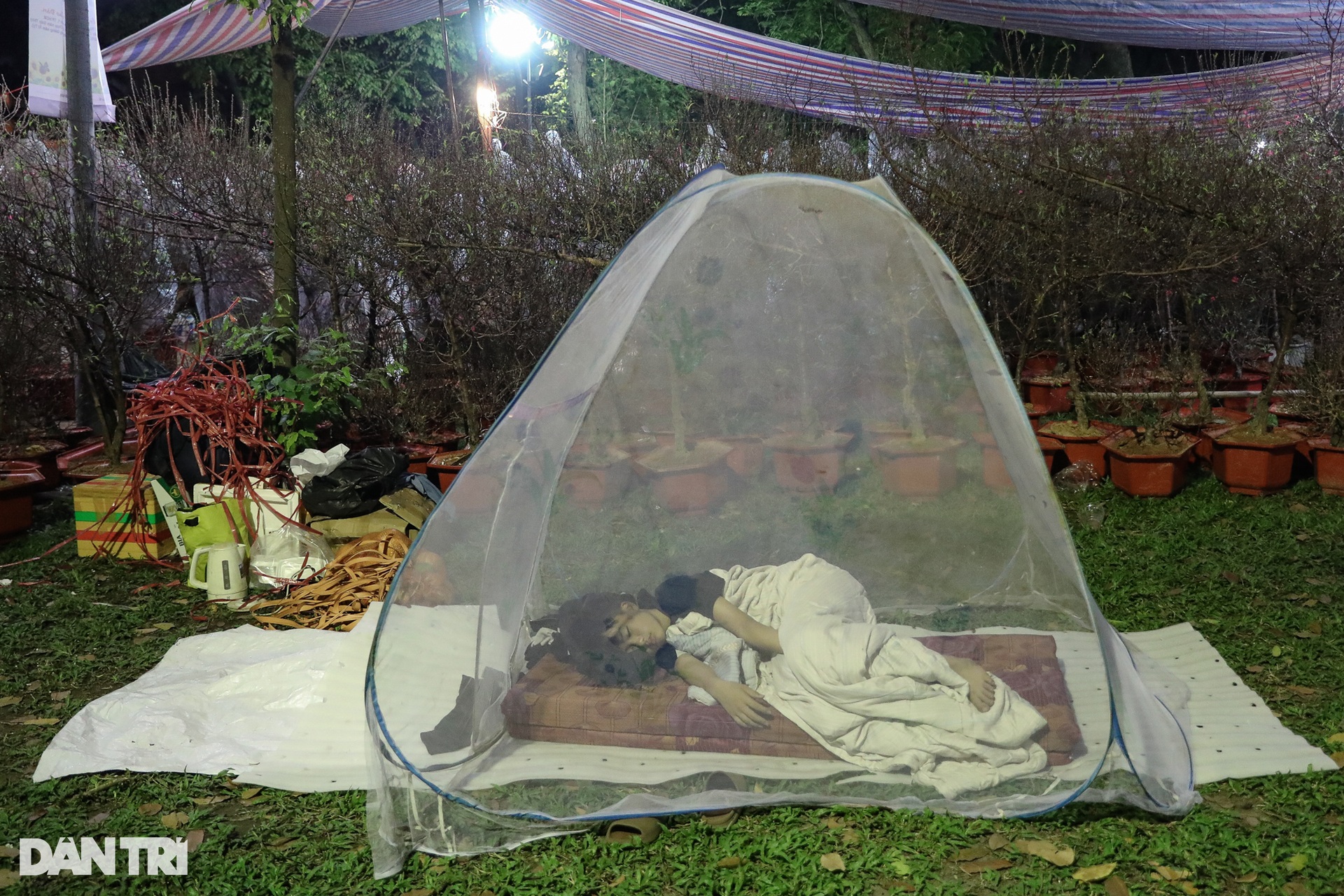 Tiểu thương co ro trong đêm lạnh, mong bán hết hoa để về nhà ăn Tết - 18 Tiểu thương co ro trong đêm lạnh, mong bán hết hoa để về nhà ăn Tết - 18