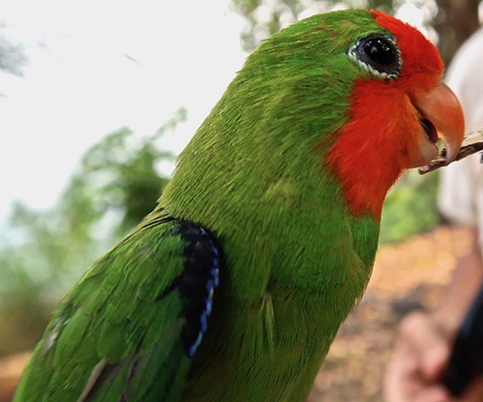 Phiêu lưu tới nơi “chạm” vào đường xích đạo - 3 Phiêu lưu tới nơi “chạm” vào đường xích đạo - 3