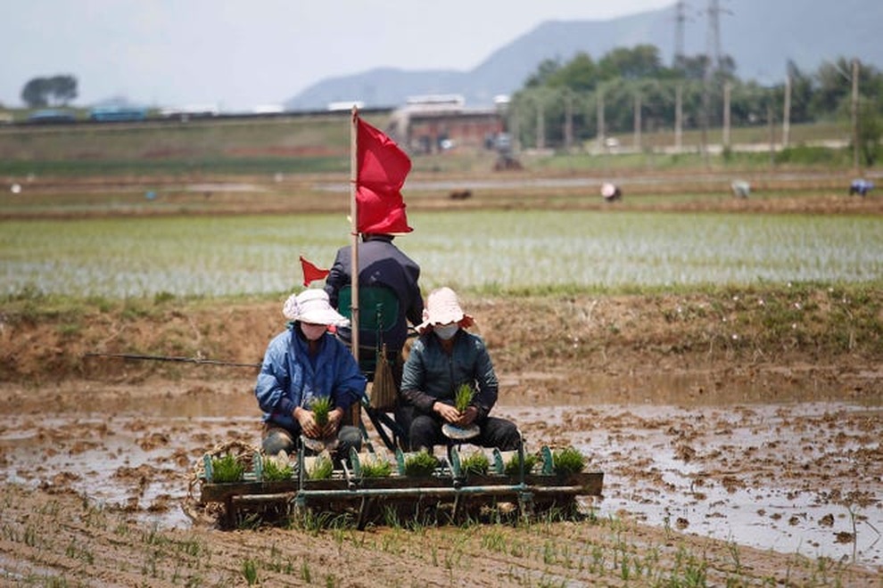 Vì sao Triều Tiên đối mặt nguy cơ nạn đói? - 2 Vì sao Triều Tiên đối mặt nguy cơ nạn đói? - 2
