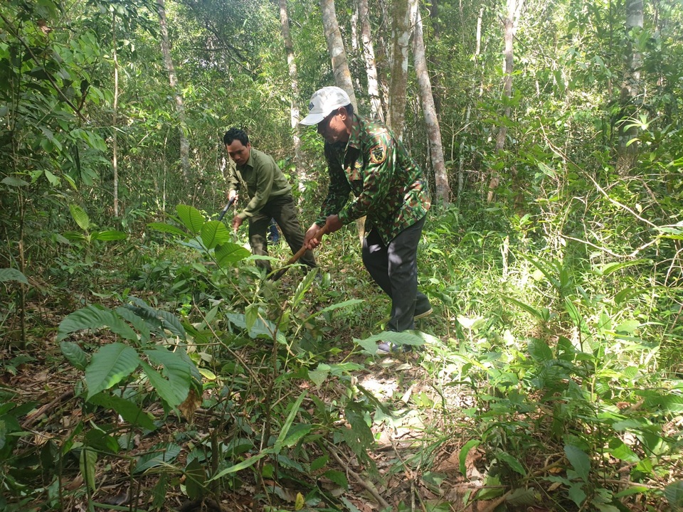 Nghề giữ rừng dưới chân núi Tà Đùng của đồng bào Châu Mạ - 4 Nghề giữ rừng dưới chân núi Tà Đùng của đồng bào Châu Mạ - 4