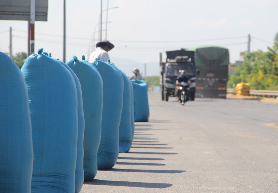 Tài xế hoảng khi quốc lộ 1A biến thành... sân phơi lúa - 4 Tài xế hoảng khi quốc lộ 1A biến thành... sân phơi lúa - 4