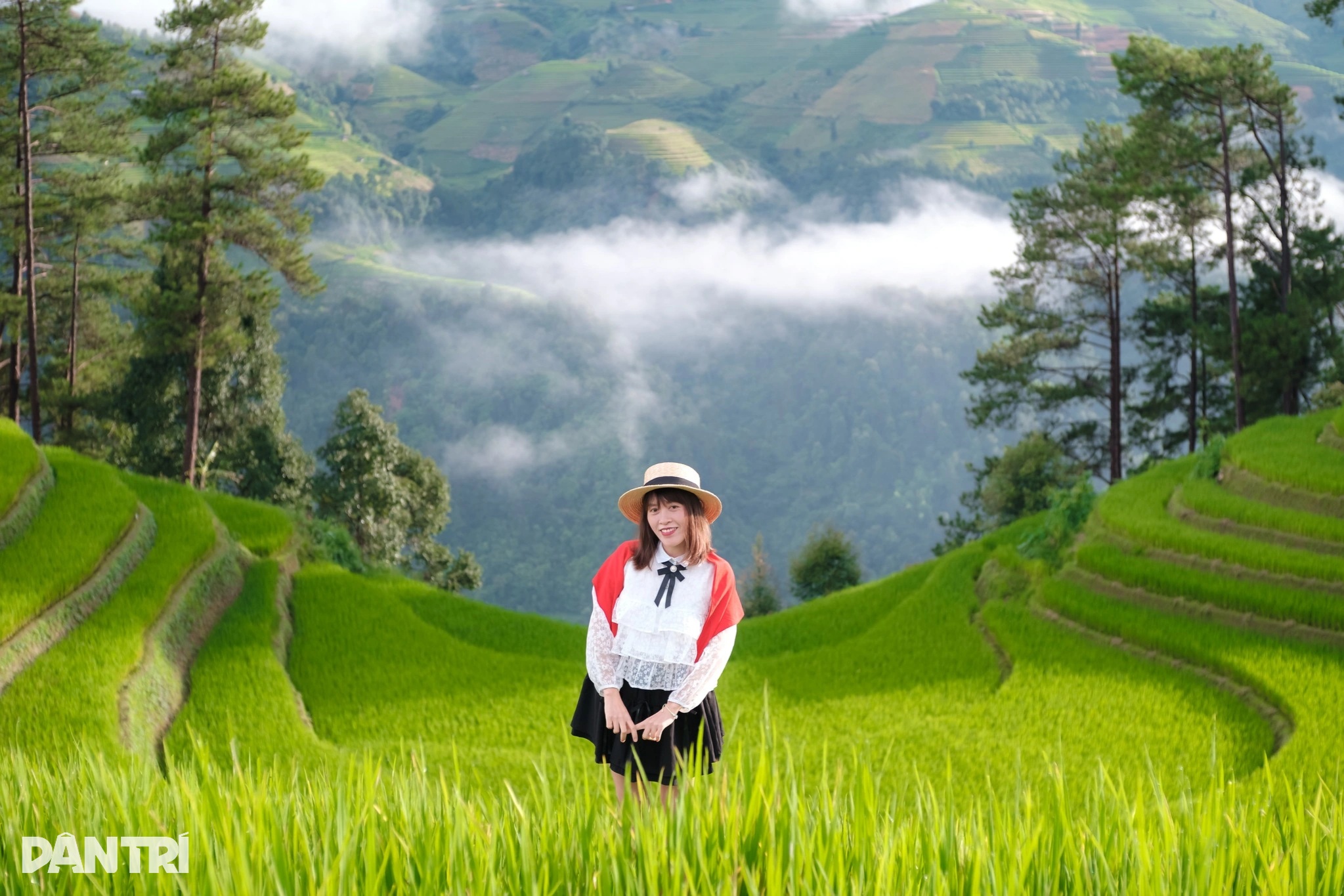 Sợ cảnh chen chúc check-in, khách tranh thủ lên Mù Cang Chải ngắm lúa sớm - 5