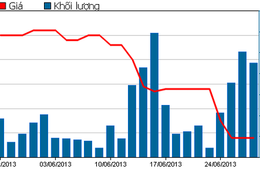 "Thị trường đang phản ứng thái quá với cổ phiếu Ma San"