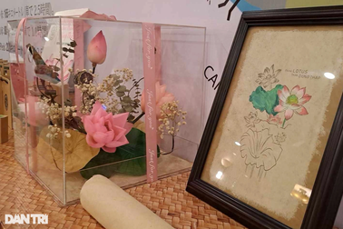 Nông dân Đồng Tháp thu cả trăm triệu đồng nhờ vừa trồng sen vừa làm du lịch