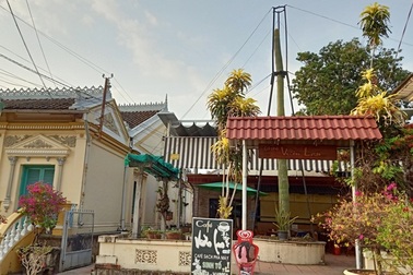 Cận cảnh cây xương rồng to như cột điện, cao hơn tòa nhà 2 tầng