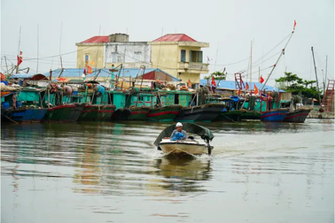 Hải Phòng cấp tập chuẩn bị đối phó bão số 3 đổ bộ