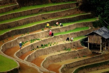 Mù Cang Chải đẹp "mê hồn" trong mùa đổ nước