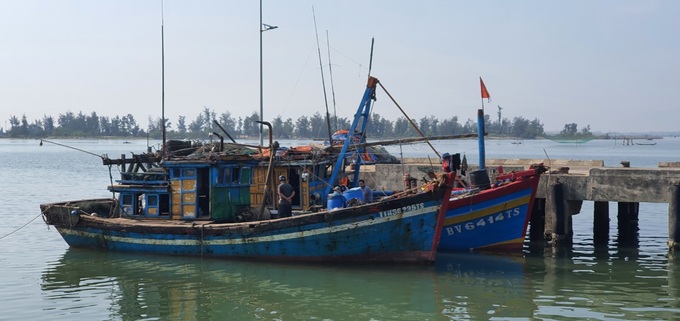 Thừa Thiên Huế: Ngăn chặn 3 tàu đánh bắt hải sản bằng lưới giã trong đêm - Ảnh 1.