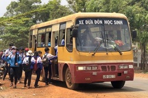 Đề nghị đưa dịch vụ xe ô tô đưa đón học sinh vào Luật Giao thông