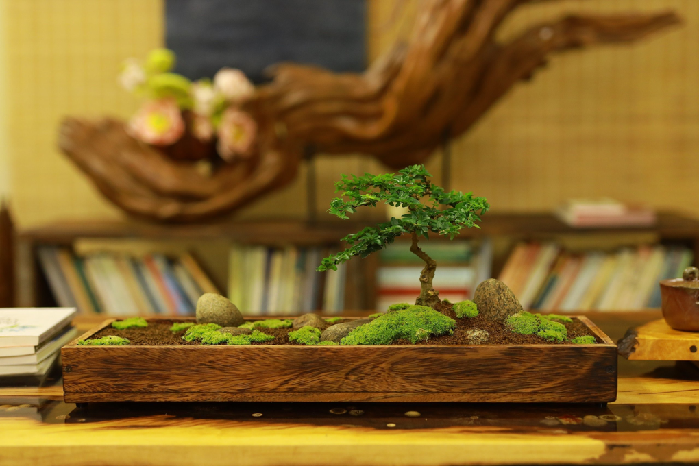 Lũa Decor - nghệ thuật mang tới bình an trong không gian sống - 2 Lũa Decor - nghệ thuật mang tới bình an trong không gian sống - 2