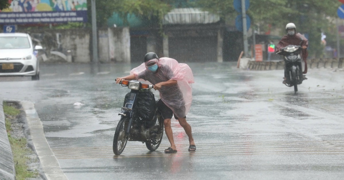 View - Hà Nội: Gió mạnh "quật ngã" người đi đường, cây xanh bật gốc đổ la liệt | Báo Dân trí