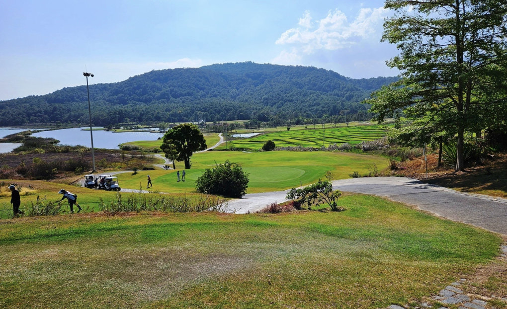 Công an vào cuộc vụ gần 40ha rừng ở sân golf biến mất - 1 Công an vào cuộc vụ gần 40ha rừng ở sân golf biến mất - 1