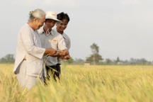 Lộc Trời hủy cuộc họp bất thường trước 3 ngày