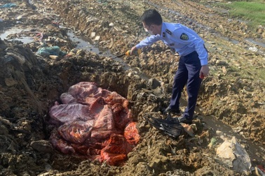 Phát hiện 650kg thịt sườn lợn bốc mùi hôi thối trong thùng xe tải