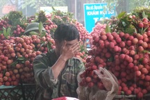 Bắc Giang: Hàng nghìn người dân đứng dưới mưa chờ cân vải