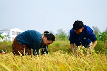VinaEcolife Lodge tâm huyết mang Ba Tri lên bản đồ du lịch Việt Nam