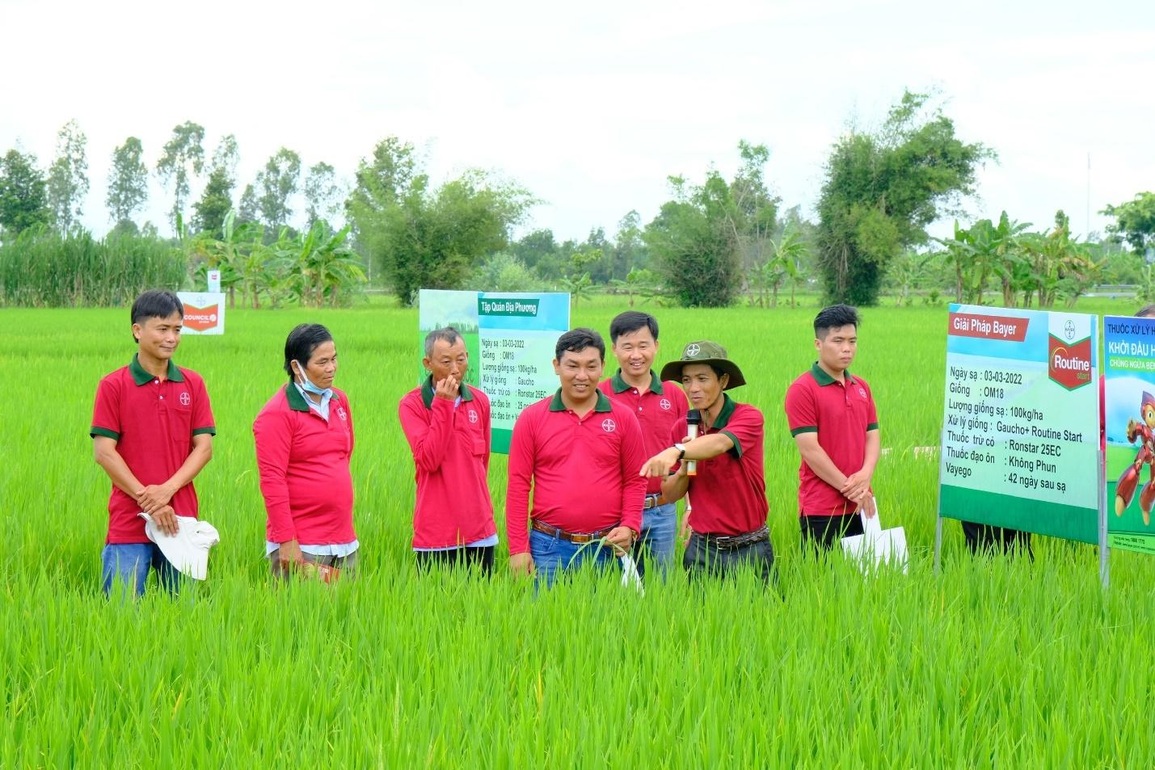 Giải pháp xử lý hạt giống mới giúp nhà nông tăng năng suất lúa - 3 Giải pháp xử lý hạt giống mới giúp nhà nông tăng năng suất lúa - 3