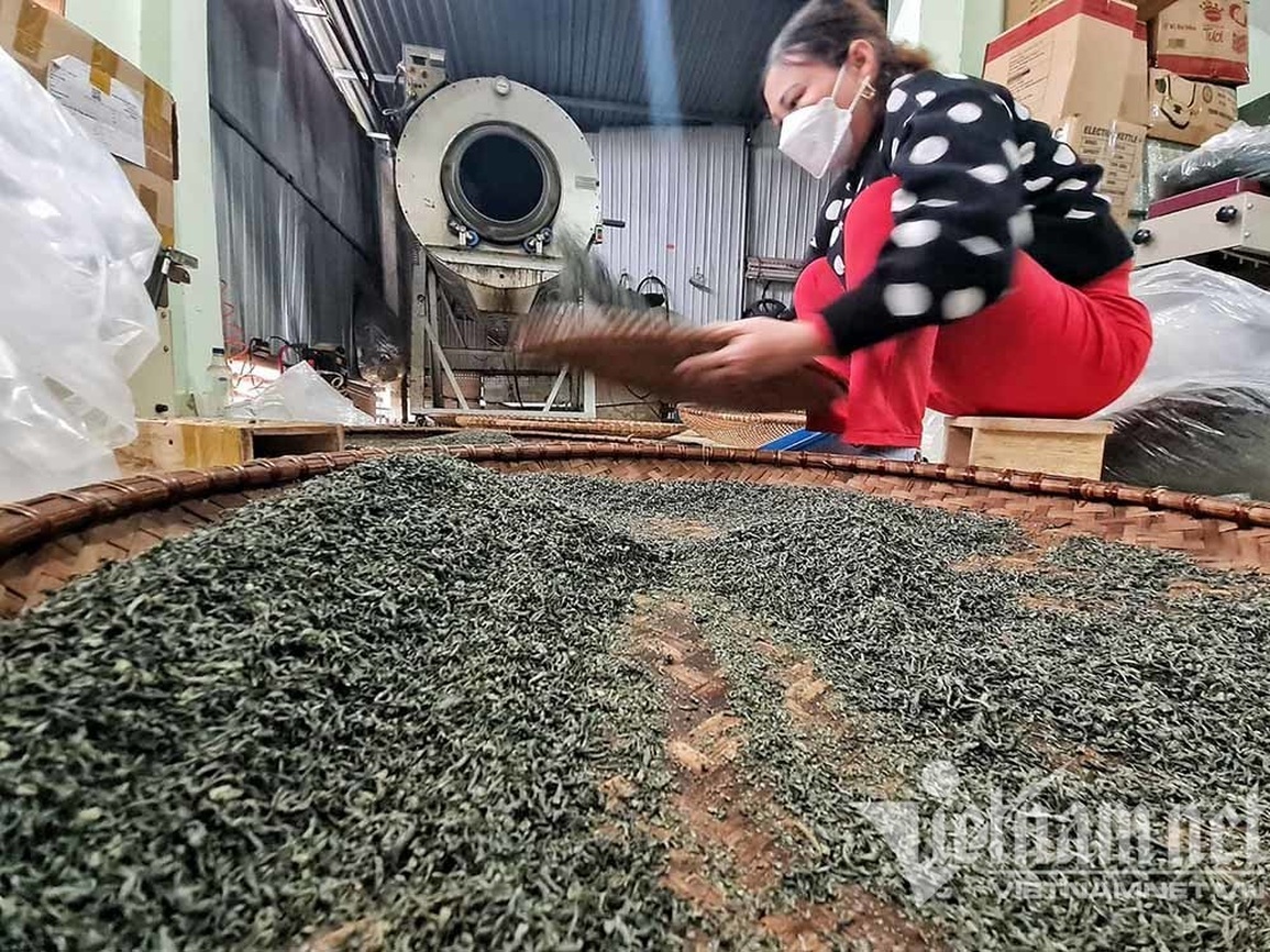 Cho chè ăn trứng gà, huyện ở Thái Nguyên chia nhau bọc tiền 1.200 tỷ - 6 Cho chè ăn trứng gà, huyện ở Thái Nguyên chia nhau bọc tiền 1.200 tỷ - 6