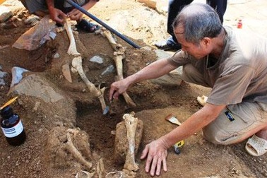 Bí ẩn mộ táng trâu trong đàn tế Nam Giao