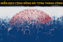 Có đến 100.000 người chết nếu dựa vào "miễn dịch cộng đồng" chống Covid-19?