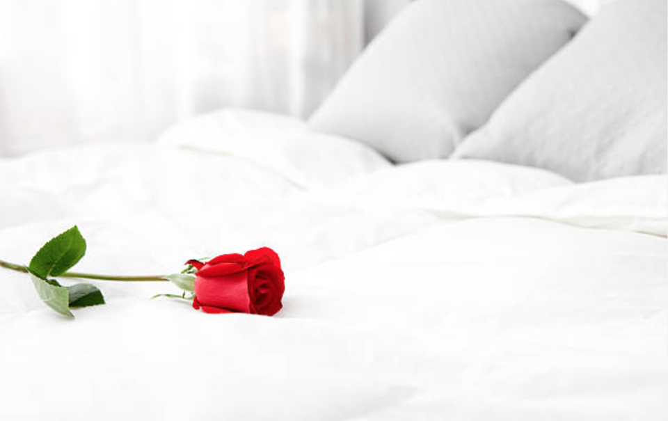 Từ bông hoa cũ gửi đến bông hoa mới của anh - 1 Từ bông hoa cũ gửi đến bông hoa mới của anh - 1