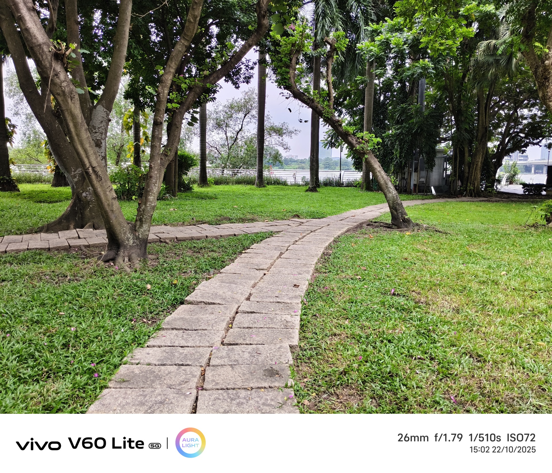 Đánh giá vivo V60 Lite 5G: Hiệu suất tốt, pin khỏe, camera còn hạn chế - 14 Đánh giá vivo V60 Lite 5G: Hiệu suất tốt, pin khỏe, camera còn hạn chế - 14
