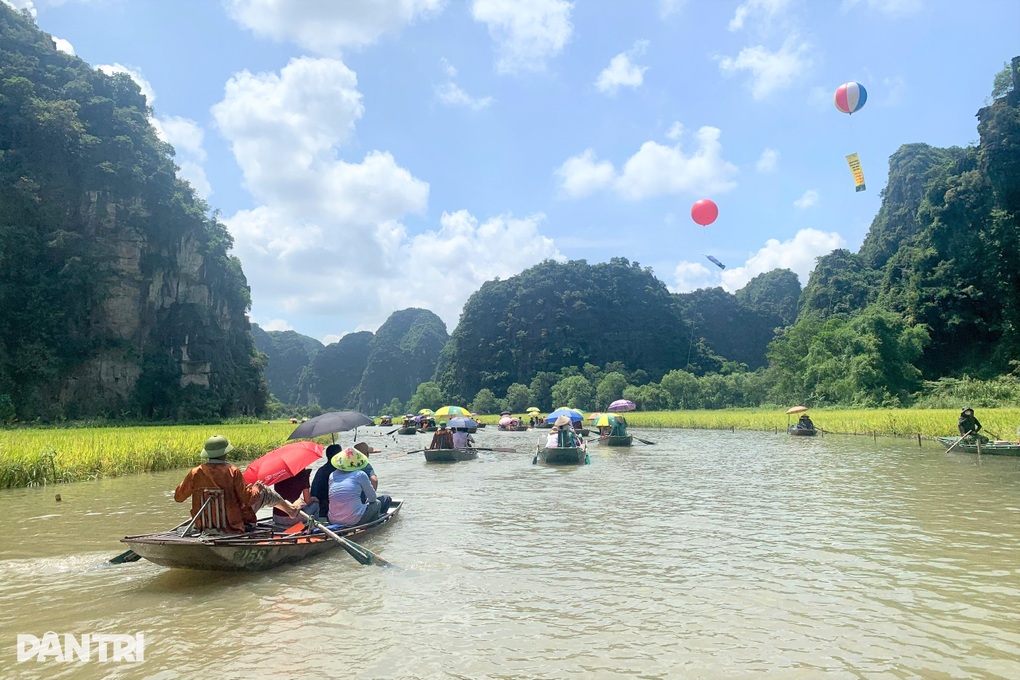 Hơn 600 lái đò ở di sản Tràng An không có hợp đồng lao động hàng chục năm qua - 1 Hơn 600 lái đò ở di sản Tràng An không có hợp đồng lao động hàng chục năm qua - 1