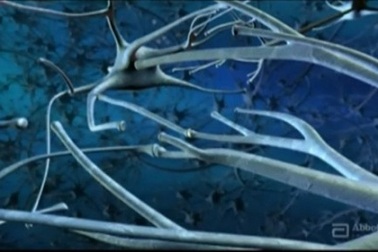 Bổ sung gì để hỗ trợ phát triển trí não thai nhi? 