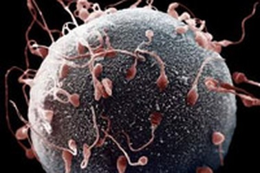 “Tinh binh” và những con số ấn tượng 