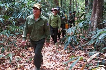 Giữ màu xanh trên đại ngàn Chư Mom Ray