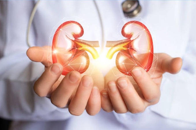 Bạn có biết khối lượng công việc mà thận làm việc mỗi ngày là bao nhiêu không? Đừng dại làm những điều này nếu không muốn bị suy thận sớm - Ảnh 1. Bạn có biết khối lượng công việc mà thận làm việc mỗi ngày là bao nhiêu không? Đừng dại làm những điều này nếu không muốn bị suy thận sớm - Ảnh 1.
