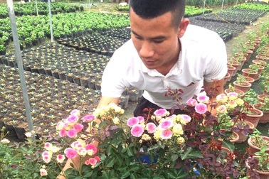 Anh bảo vệ 9X ham trồng hoa hồng, thu 450 triệu đồng/tháng
