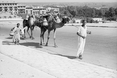 Những thước hình hiếm về Ai Cập cách đây cả trăm năm