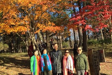 Xứ Hàn mùa “vợt” lá vàng: Từ hoài cổ đến hiện đại