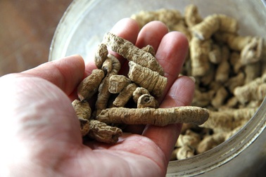 Làm giàu từ sâm ba kích